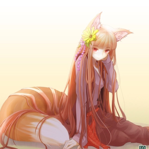 Do you dare bite into the forbidden fruit that is Holo? [Spice and Wolf RP/18+/Taken./]