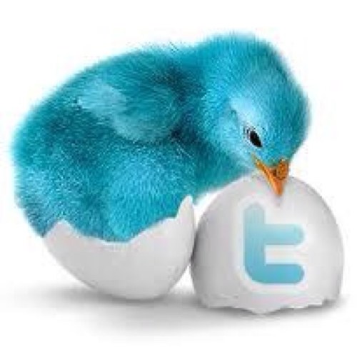 when you followe me I will followe you back /unfollweme-Iwill unfollowe you back