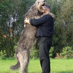 AmSerg's profile picture. 