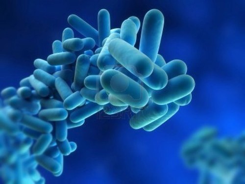 legbedrijven's profile picture. Legionellabedrijven.nl is een startpagina waar alle legionellabedrijven centraal staan.