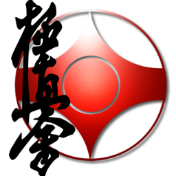 karate_bcn's profile picture. karate kyokushinkai barcelona ,catalonia, spain
