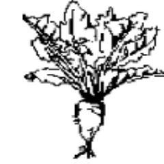 Bietentocht's profile picture. Stichting De Zeeuwse Beurtvaart organiseert de jaarlijkse Bietentocht