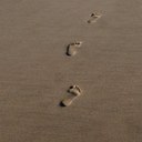 Elan Silver - @Elan_Silver - Twitter