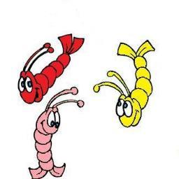 Manufacturer Of Quality Fishing Baits Suppliers Of Liquid Flavourings & Colourings
Munch 'n' Eat... 
Hard Core Prawn...
Pukka Paste