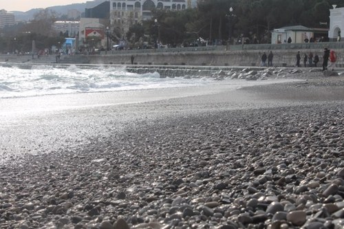 aimaaar_21's profile picture. c