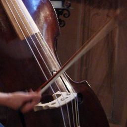 Baroque / modern doublebass- Player. Bassguitar as well.