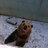 jclarke89's profile image