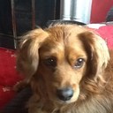 Sian Edwards - @SianEdwards - Twitter