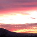 Lynn Goss - @lbgoss - Twitter