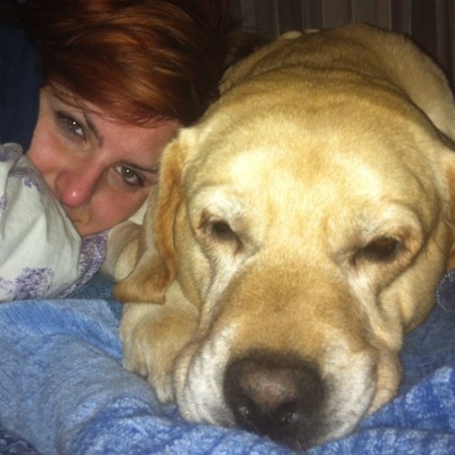 elenalepo's profile picture. nasce, vive, legge, scrive e ama a pistoia.