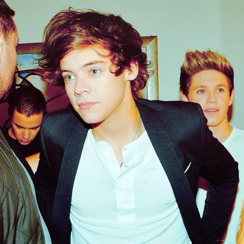 harry,is the most beautiful boy in the world i love him❤ supported1DFromTheStart. supportedonedirectionsincelouissteppedontheseaurcchin.❤