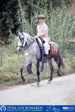 josepla48's profile picture. Amante de los caballos, la caza y las romerias! Me encanta el flamenco, amigos de mis amigos. Arjonilla (Jaen)