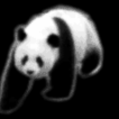 ぱんだ！