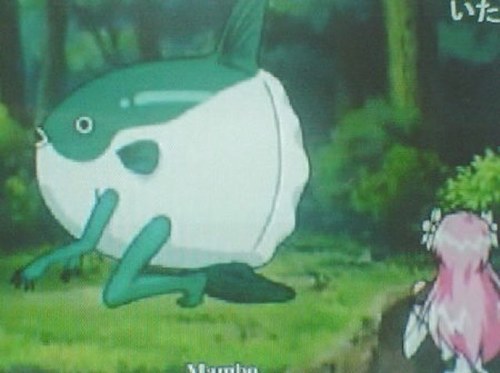 僕はマンボウ。あなたはマンボウ？
春からマンボウ国際大学マンボウ学部マンボウ語学科