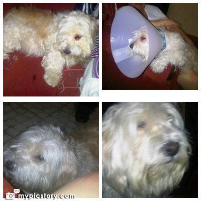 maymayfun's profile picture. Madona, Lupita Dalesio, Al Divo, catolica,apostolica y Hondureña,...