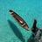 FestivalDerawan's profile image