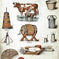 La Corrauca (@lacorrauca) 's Twitter Profile Photo