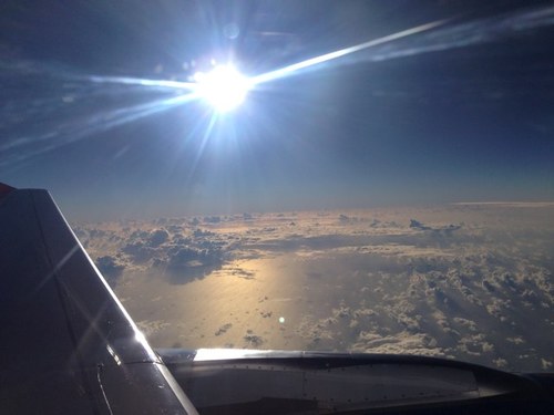 seus_ca's profile picture. 