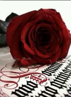 astart2233's profile picture. 