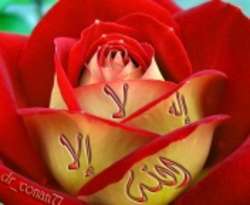 oso2297's profile picture. لاإله إلا الله