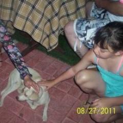 EllieNeilaxo's profile picture. 