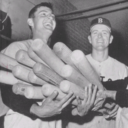 soxbats's profile picture. 