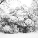 Anthony Chant - @Abc_PhotoLondon - Twitter