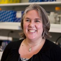 Carolyn Anne Young (@kiwiyoung) 's Twitter Profile Photo Carolyn Anne Young (@kiwiyoung) 's Twitter Profile Photo