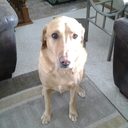 Terri Swenson - @Luvhockey9 - Twitter