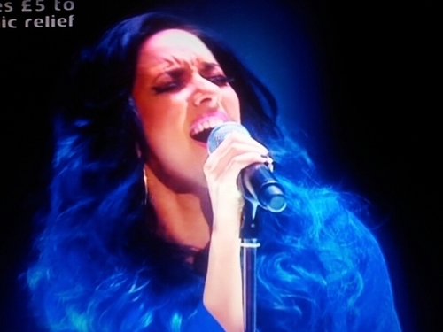 A ordinary teenage girl who's inspiration is Jade from little Mix! infact all of them are my inspiration!