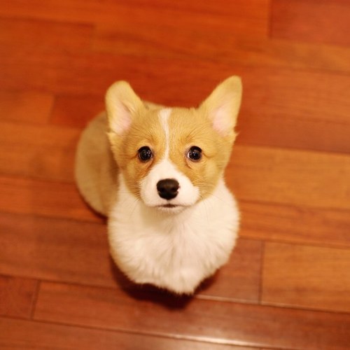 MissMango66's profile picture. sneakers lover