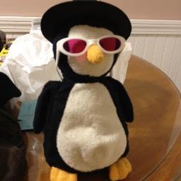 Annerachells's profile picture. 