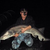 OTT (@hardcoreottmann) 's Twitter Profile