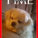 Debbie Decker - @DEBRLA - Twitter