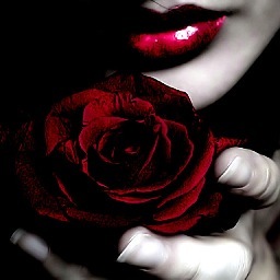 DharkestNights's profile picture. Dharkest Nights Role Play Pimp ran by the Admins of Dharkest Nights Black Dagger Brotherhood RP Stay tuned for updates/available characters. Non Site Drama Free