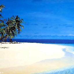 Amo la vita , la musica, l'arte, la natura... Vivo e lascio vivere...