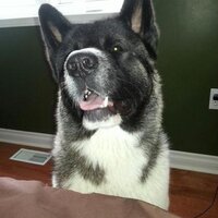 Alex Sawicki (@nowgfy_alex) 's Twitter Profile