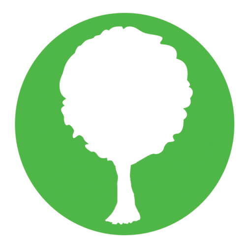 MyGreenScene's profile picture. 