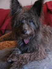 TiltedHalo_'s profile picture. You can make beautiful things with your own hands!