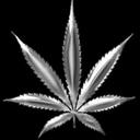 brandon tenney - @727dopedealer - Twitter