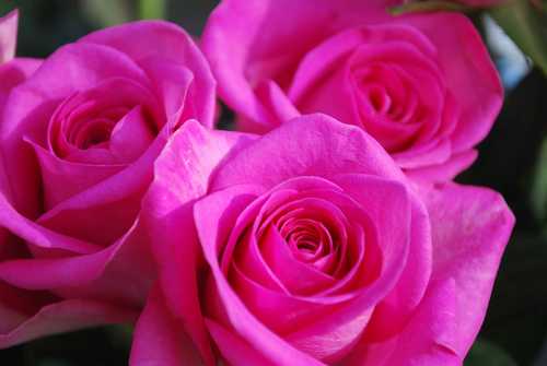 mother, writer, songwriter 
Blessed are those who find wisdom, those who gain understanding, - Proverbs 3:13