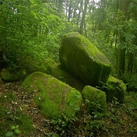 eeee200174's profile picture. لا اله الا الله