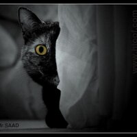 Reem  (@ms_reeemy) Twitter profile photo