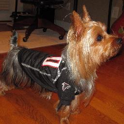 jstorm404's profile picture. Love the Atlanta Falcons! Rise Up!