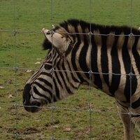 Axe Valley Park (@axevalleypark) 's Twitter Profile Photo Axe Valley Park (@axevalleypark) 's Twitter Profile Photo