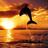 sunsetbay83's profile image