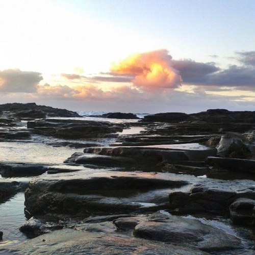 Cristina2475's profile picture. 