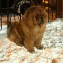 steve radford - @Etsuko4Steve - Twitter