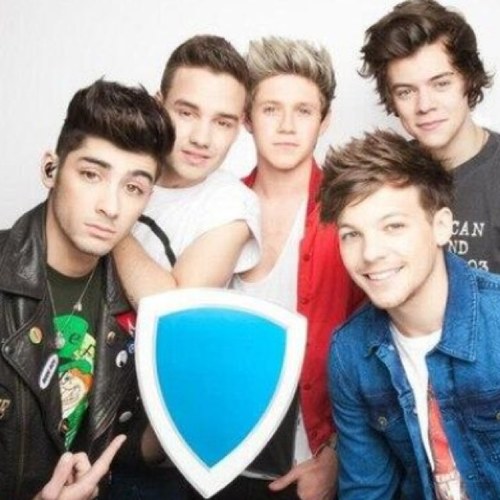 In love with 5 boys who go by the name of harry niall louis liam zayn