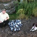 Mark Byron - @miniross1986 - Twitter